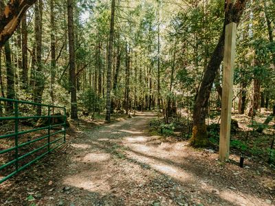 385 Beaver Meadow Rd, Cave Junction, OR, 97523