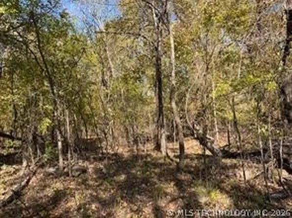 687 Road, Locust Grove, OK 74352