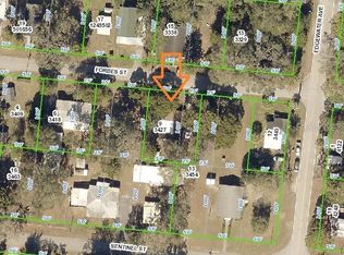 29070 Forbes St, Nobleton, FL 34661