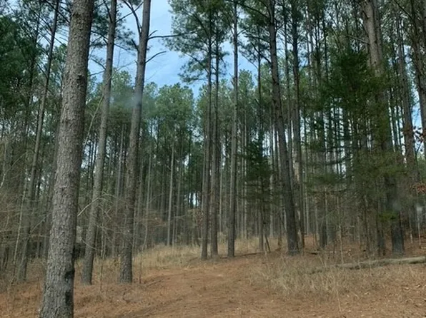18 Whispering Pine Rd, Broken Bow, OK 74728