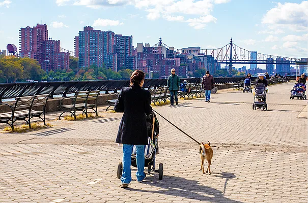 Rented by Douglas Elliman | media 93