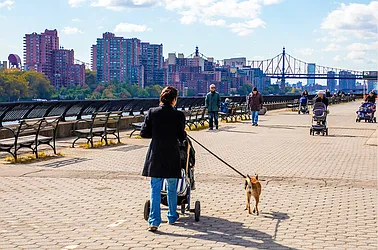 Rented by Douglas Elliman