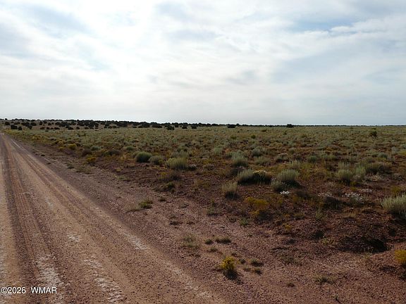 5th image of 500 Chevelon Canyon Dr