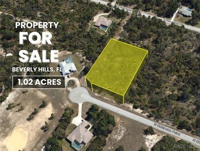 4189 N Chisholm Point, Beverly Hills, FL, 34465