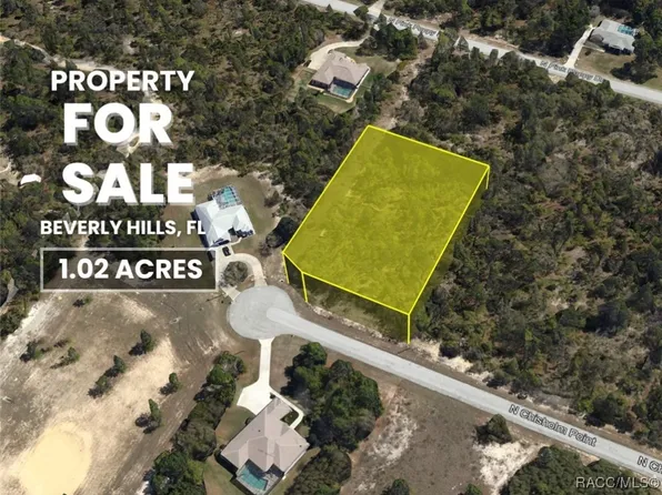 4189 N Chisholm Point, Beverly Hills, FL 34465