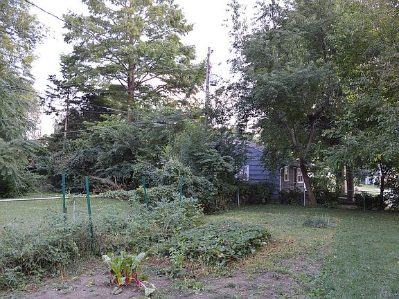 Back yard with strawberry patch