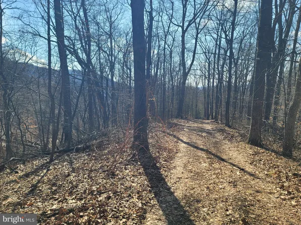 Wolf Mountain Ln, Washington, VA 22747