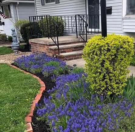 4th image of 6475 Delores Blvd