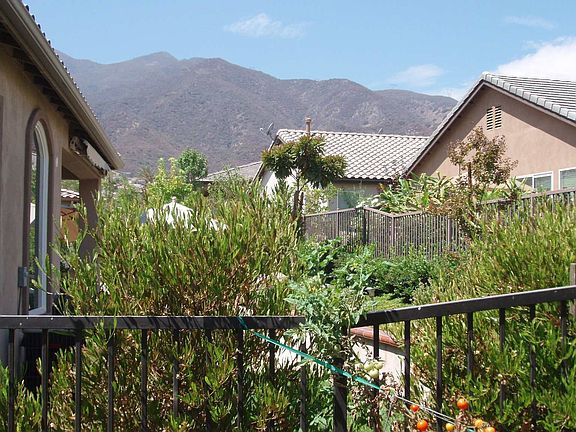 Cleveland Nat. Forest