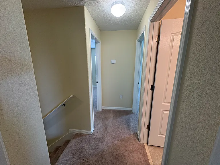 14873 Evergreen Oak Loop — Photo 23