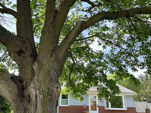 2nd image of 109 W Ash St