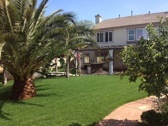 back yard paradise