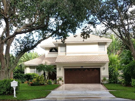 Lushly tree-lined street