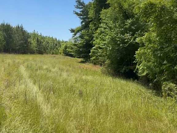 2nd image of 0 County Road 231