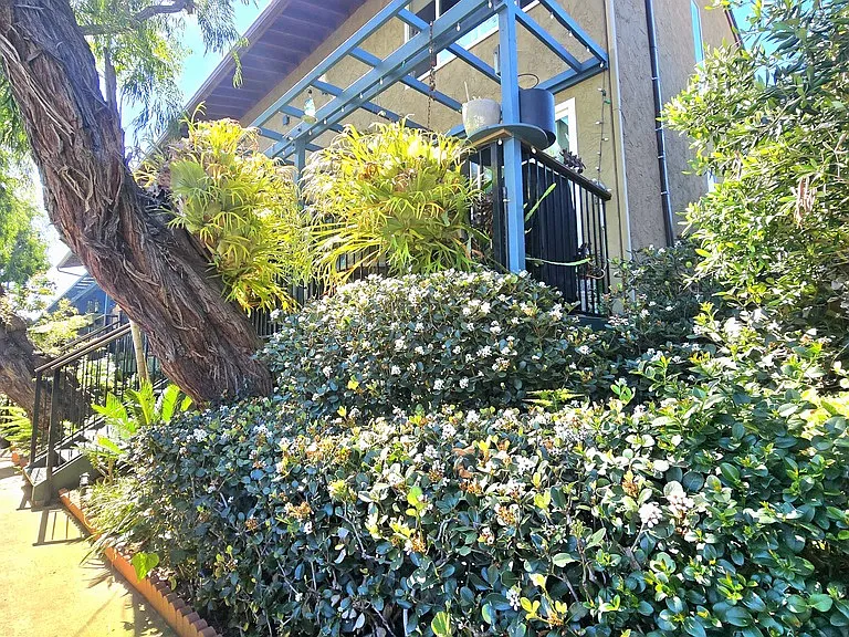 3050 Macaulay St — Photo 2