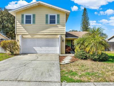 2594 Knoll St E, Palm Harbor, FL, 34683