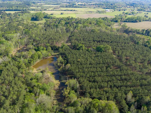 0 Farm To Market Rd #2022, Grapeland, TX 75844