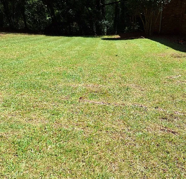 1354 Weston Dr — Photo 14