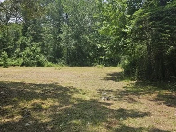 151 JAMES ST LOT 28, Coldspring, TX 77331