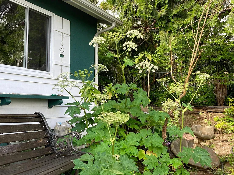 Front yard is above street level, affording many great views, benches, babbling water fountain.