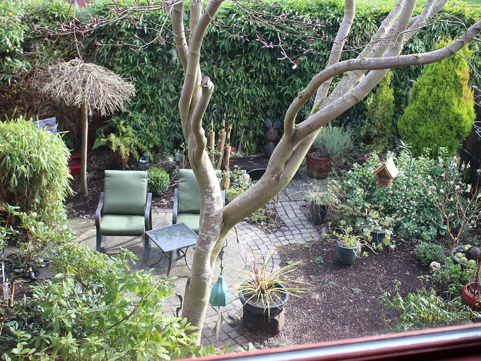 View to garden
