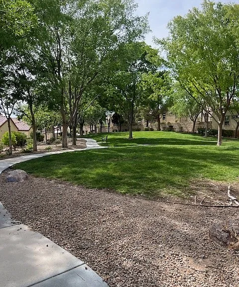 1067 Fennel Flower Ct — Photo 32