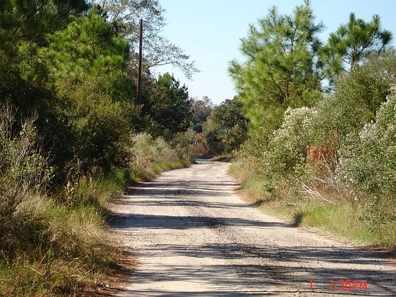 3rd image of 126 Seacreast Lane