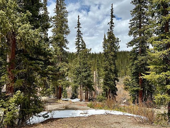 5th image of 897 Gold Pan Lane LOT 0762