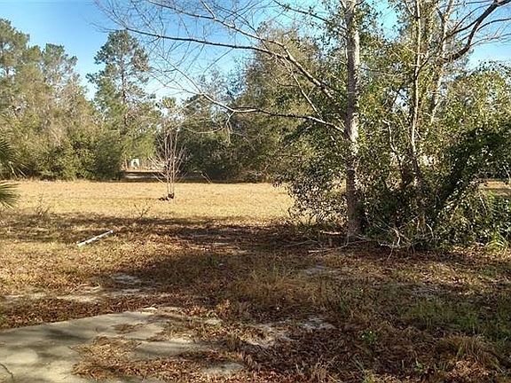 4th image of 36828 Trailwood Cir