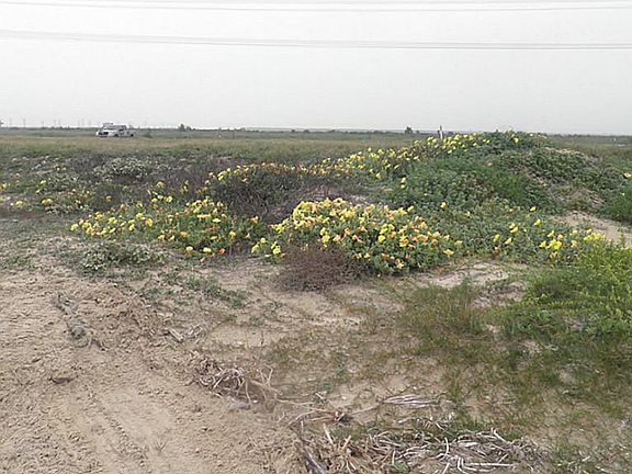 4th image of 2438 Highway 87