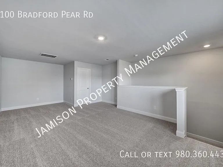 1100 Bradford Pear Rd — Photo 26