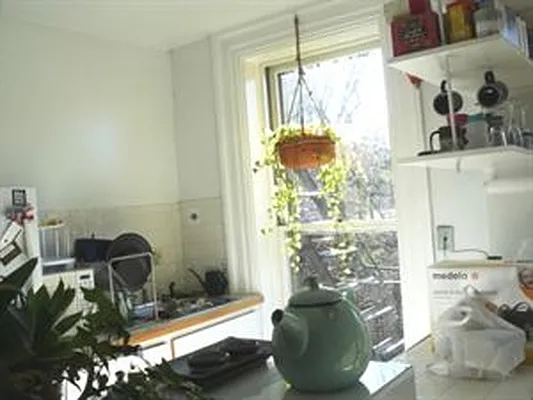 Rented by Douglas Elliman | media 12