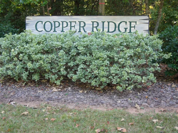 52 Lake Point Dr, Dahlonega, GA 30533