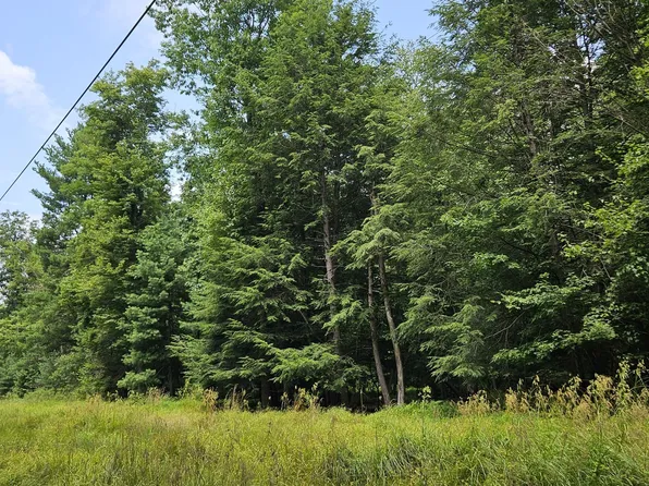 0 Trough Creek Dr, Todd, PA 16685