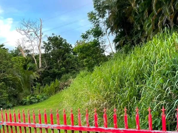 Saint Just Calle Francisco Hernandez Solar 1, Trujillo Alto, PR 00976