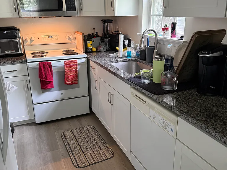 110 Birdwood Ct — Photo 10