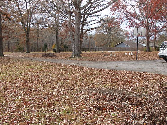Loads of mature trees