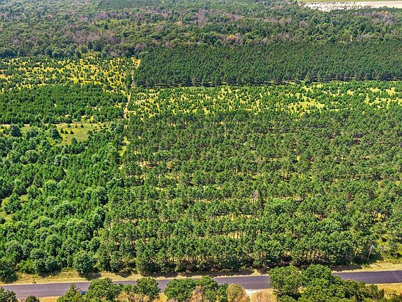 4th image of Lot 4, 10 Acres BELL ROAD