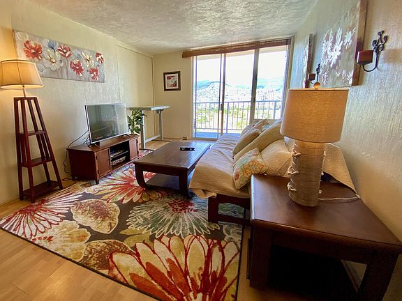 Living Room with a Queen Futon, High Definition TV and a motorized adjustable sit/stand work desk