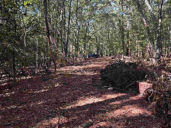 5th image of 0 Swamp Rabbit Rd Tract A