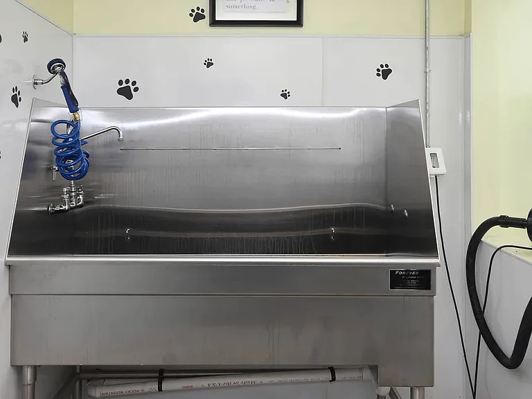 Pet Wash Station