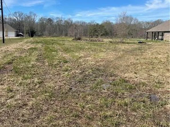 26411 Clyde Blount Rd, Livingston, LA 70754