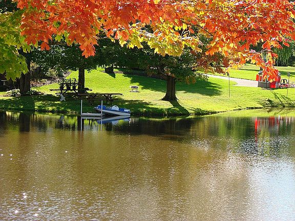 View of the Dock