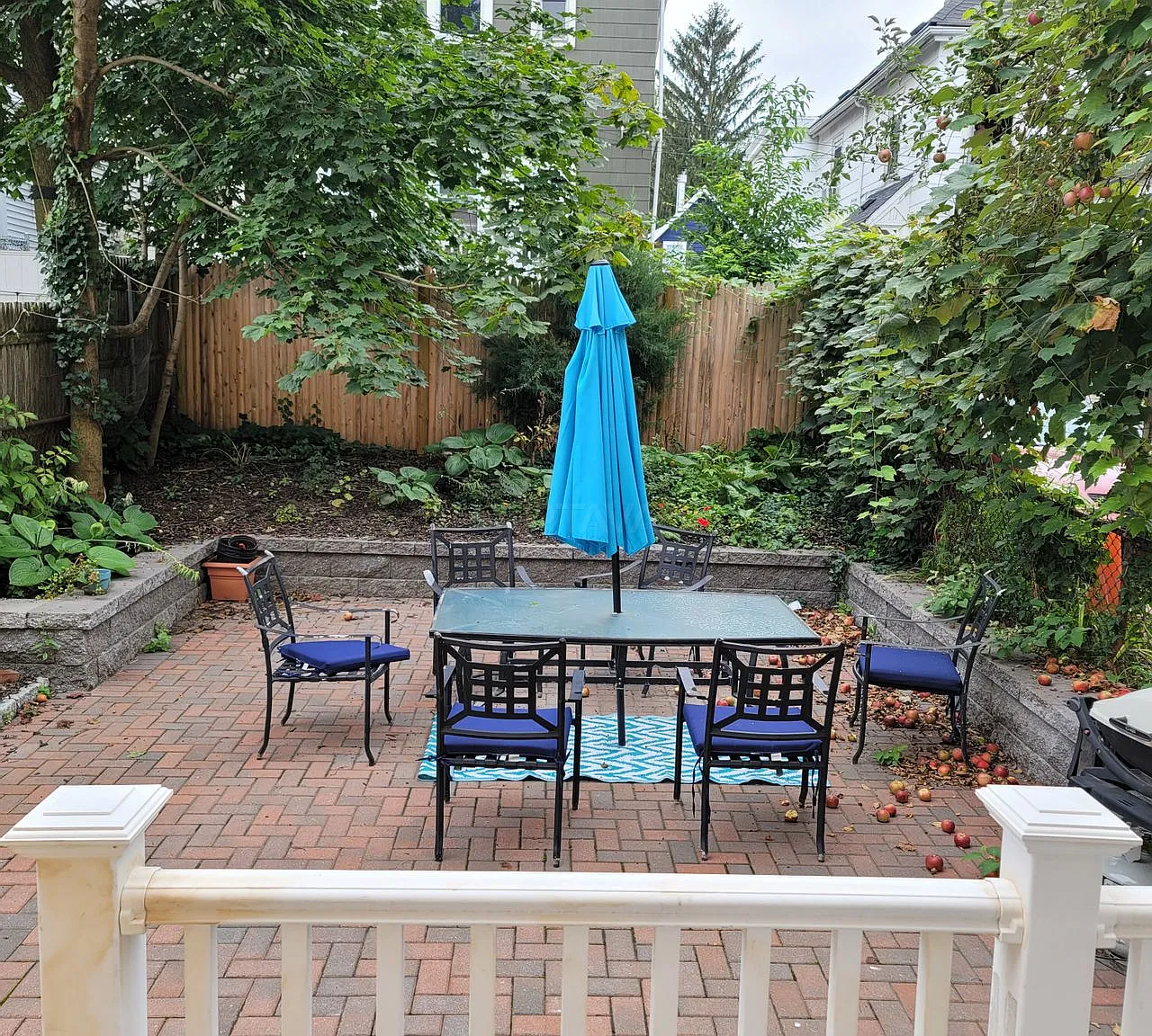 Davis Square / Porter Square / Ball Square area, 5 bedroom, 2 bathroom apartment — Photo 4