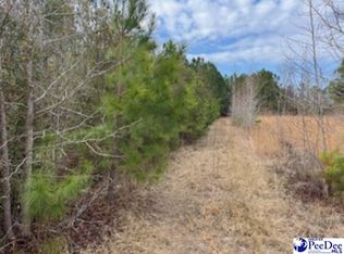 791 Moulds Rd, Lake City, SC 29560