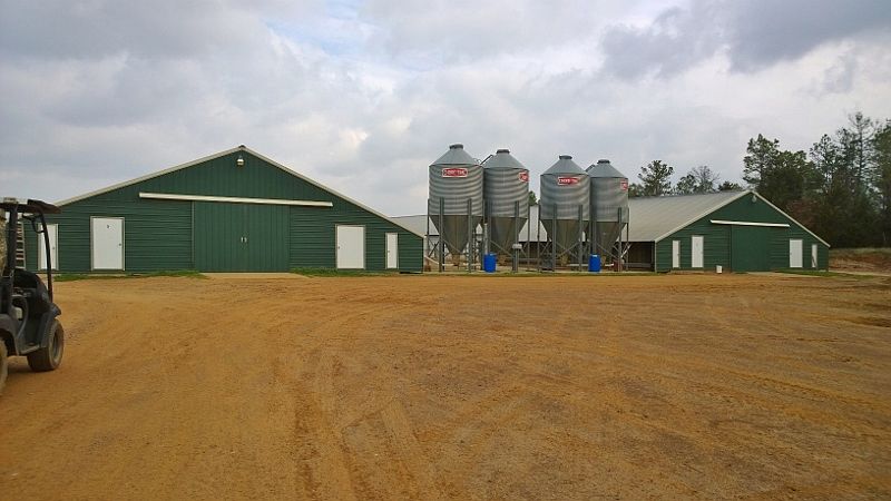 2nd image of 3211 State Highway 8