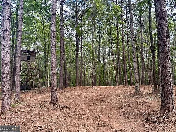 4th image of 130 Patriot View Dr