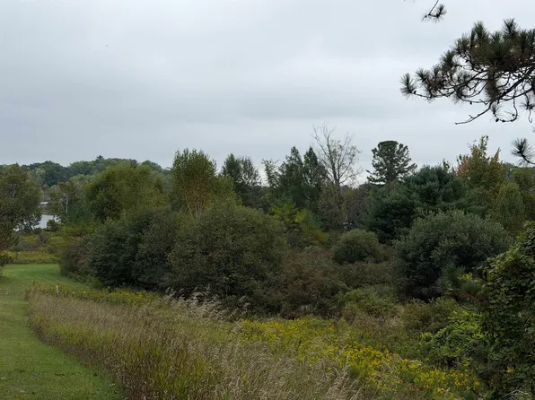 0 River Woodland Trl, Gladwin, MI 48624