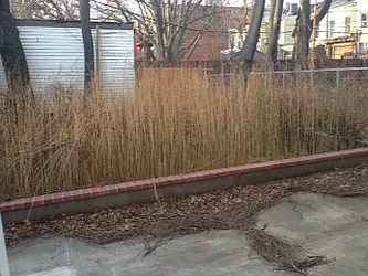 Rented by Urban Realty NYC