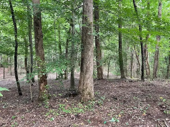 822 Myers Cove Rd Lot 1, McMinnville, TN 37110